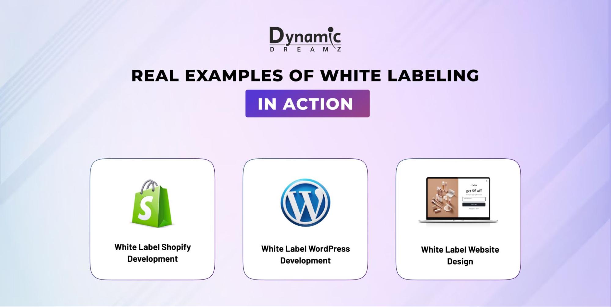 Real-Examples-of-White-Labeling-in-Action